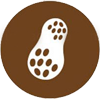 Cacahuetes
